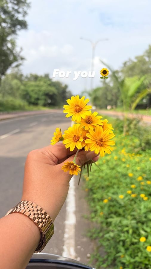 Hand-picked yellow wildflowers